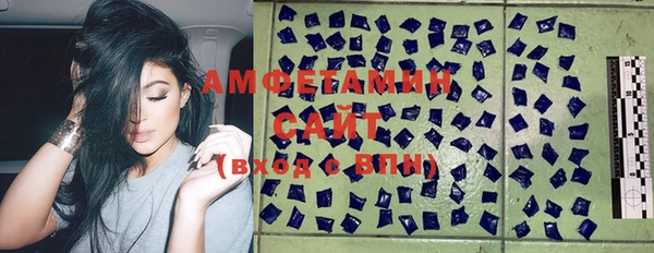 прущие грибы Бронницы