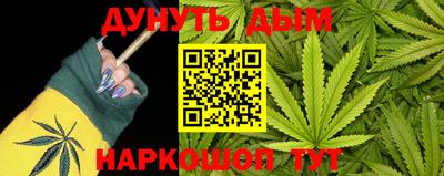 альфа пвп Новодвинск