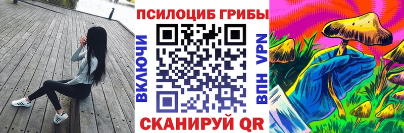Псилоцибиновые грибы прущие грибы Гудермес
