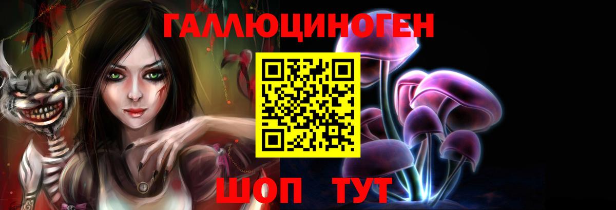Гудермес  Галлюциногенные грибы мицелий  Галлюциногенные грибы прущие грибы  Вход с VPN 